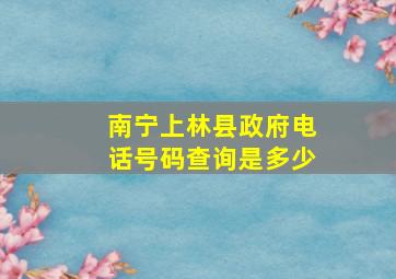 南宁上林县政府电话号码查询是多少