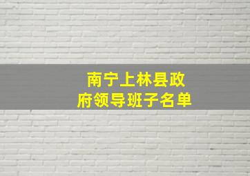 南宁上林县政府领导班子名单