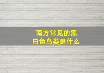 南方常见的黑白色鸟类是什么