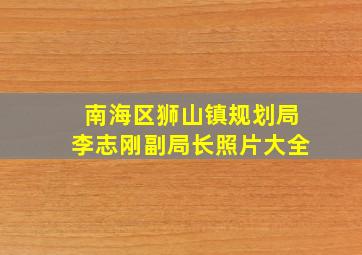 南海区狮山镇规划局李志刚副局长照片大全