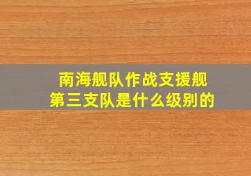 南海舰队作战支援舰第三支队是什么级别的