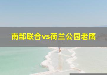 南部联合vs荷兰公园老鹰