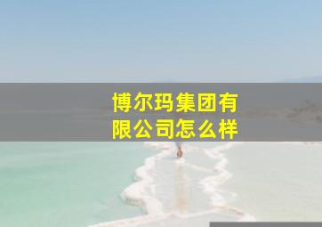 博尔玛集团有限公司怎么样