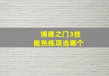 博德之门3技能熟练项选哪个