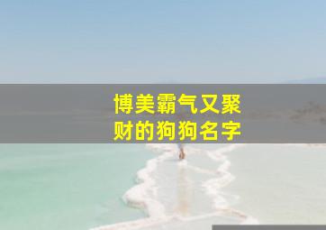 博美霸气又聚财的狗狗名字