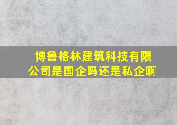 博鲁格林建筑科技有限公司是国企吗还是私企啊