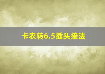 卡农转6.5插头接法