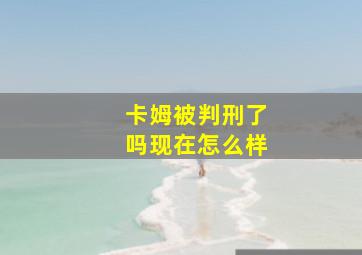 卡姆被判刑了吗现在怎么样