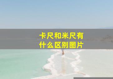 卡尺和米尺有什么区别图片