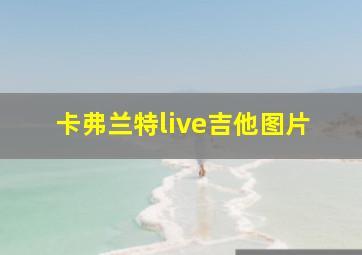 卡弗兰特live吉他图片