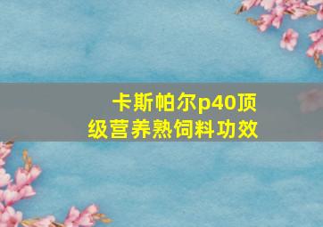 卡斯帕尔p40顶级营养熟饲料功效