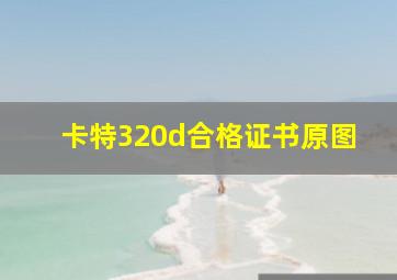 卡特320d合格证书原图