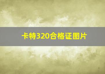 卡特320合格证图片