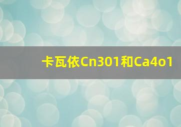 卡瓦依Cn301和Ca4o1