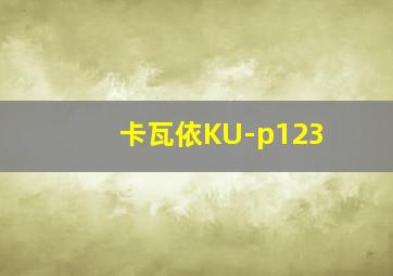 卡瓦依KU-p123