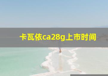 卡瓦依ca28g上市时间