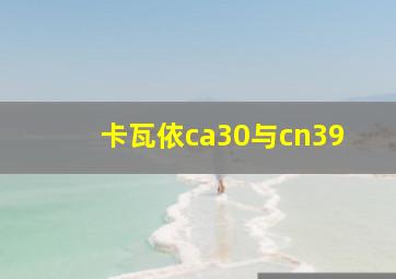 卡瓦依ca30与cn39