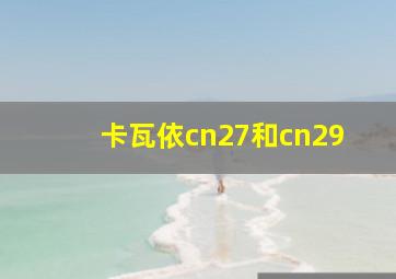 卡瓦依cn27和cn29