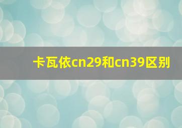 卡瓦依cn29和cn39区别