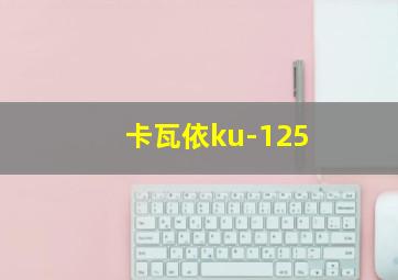 卡瓦依ku-125