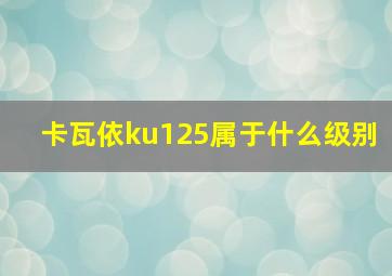 卡瓦依ku125属于什么级别