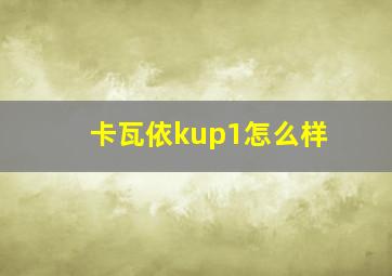 卡瓦依kup1怎么样