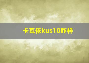 卡瓦依kus10咋样