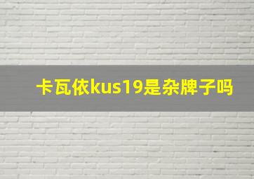 卡瓦依kus19是杂牌子吗