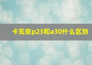 卡瓦依p23和a30什么区别