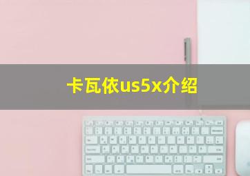 卡瓦依us5x介绍