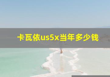 卡瓦依us5x当年多少钱