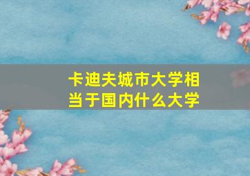 卡迪夫城市大学相当于国内什么大学