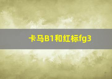 卡马B1和红标fg3