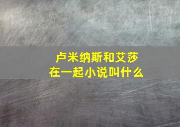 卢米纳斯和艾莎在一起小说叫什么