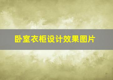 卧室衣柜设计效果图片