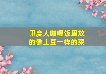 印度人咖喱饭里放的像土豆一样的菜