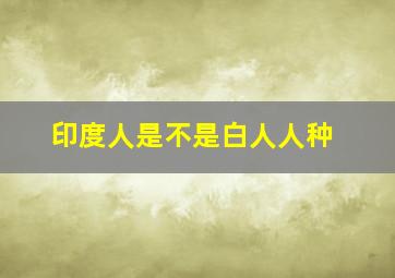 印度人是不是白人人种