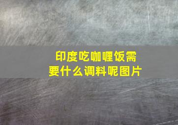 印度吃咖喱饭需要什么调料呢图片