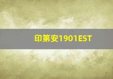 印第安1901EST