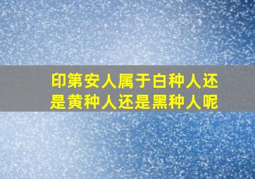 印第安人属于白种人还是黄种人还是黑种人呢