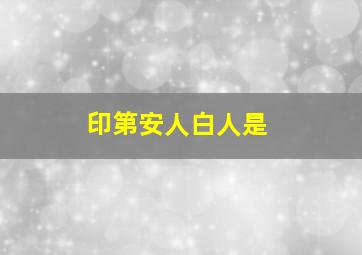 印第安人白人是