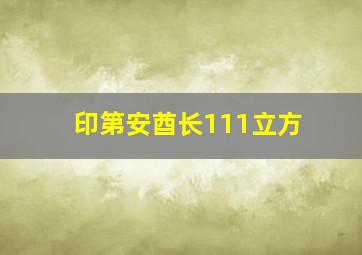 印第安酋长111立方