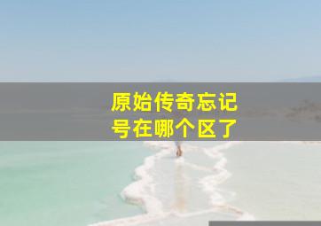 原始传奇忘记号在哪个区了