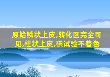 原始鳞状上皮,转化区完全可见,柱状上皮,碘试验不着色