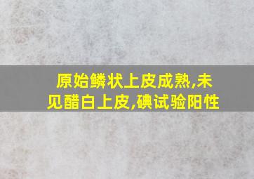 原始鳞状上皮成熟,未见醋白上皮,碘试验阳性