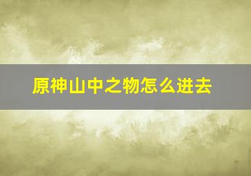 原神山中之物怎么进去