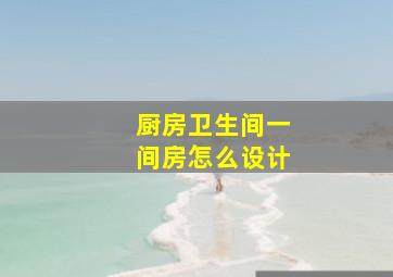 厨房卫生间一间房怎么设计