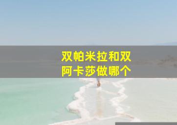 双帕米拉和双阿卡莎做哪个