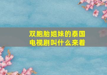 双胞胎姐妹的泰国电视剧叫什么来着