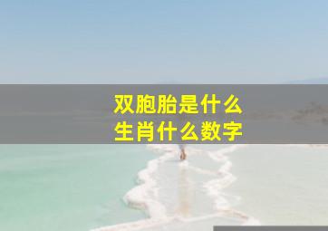 双胞胎是什么生肖什么数字